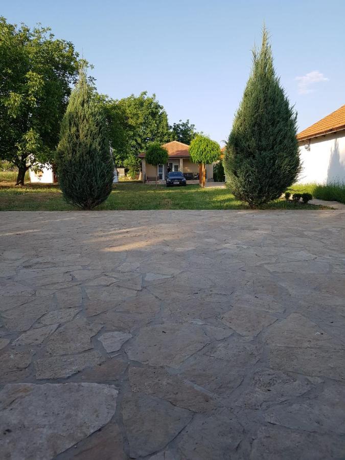 Вилла Vikendica Lesic Cortanovci Экстерьер фото